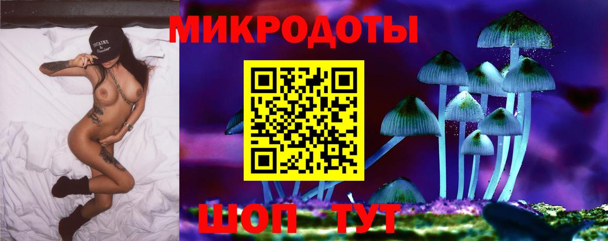 Алатырь  продажа наркотиков  Псилоцибиновые грибы мухоморы  Вход с VPN  Псилоцибиновые грибы Magic Shrooms 